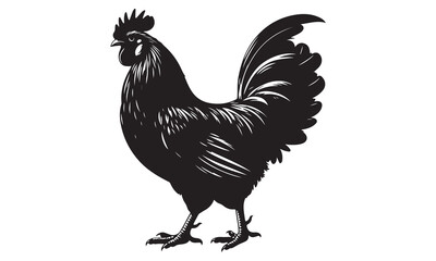 Cartoon cockerel vector illustration isolated on white background