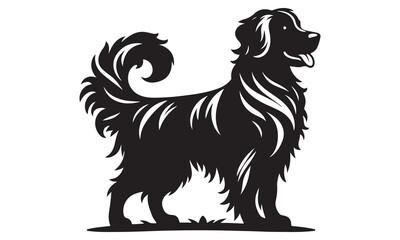 A cute black and white Border Collie puppy sitting on a white background, illustrated in a simple style, showcasing the purebred dog breed in a studio setting