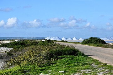 Salt winning Bonaire