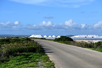 Salt winning Bonaire
