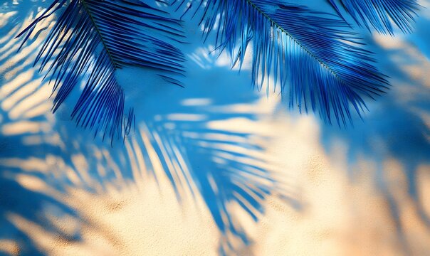 electric blue palm tree shadows creating abstract patterns on the sand