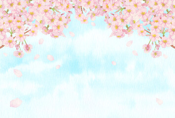 手描きの水彩画：爽やかな青空と桜の背景　枝と蕾付き
