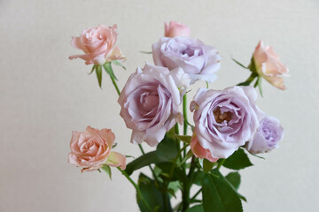 ピンクと紫の花束