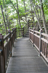 A wooden walkway with a wooden pavilion in the middle. The pavilion has a yellow sign on it. The walkway is surrounded by trees and has a peaceful, 