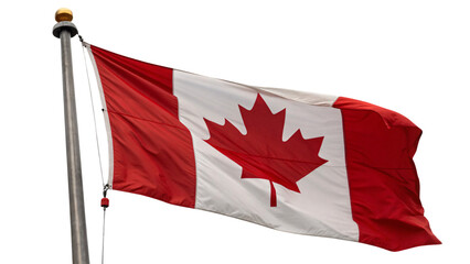 A detailed view of the Canadian flag in motion, emphasizing its bold red and white colors, set against a transparent background