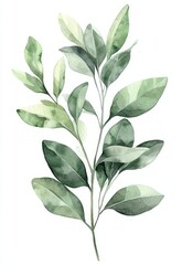 Watercolor Frame of Green Leaves on White Background with Pastel Colors, Perfect for Spring and Summer Designs Generative AI