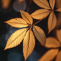 autumn leaves with warm sunlight