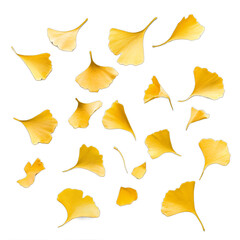 Naklejka premium A collection of yellow leaves scattered across a white background. The leaves are of various sizes and shapes, creating a sense of movement and freedom. The image evokes a feeling of nature