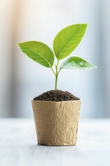 Scalability Evaluation for Strategies and Solutions Supporting Business Expansion Efforts