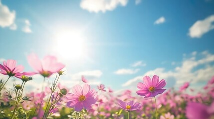 flowers in a vibrant field under a clear blue sky with sunlight representing nature's beauty and environmental conservation concept