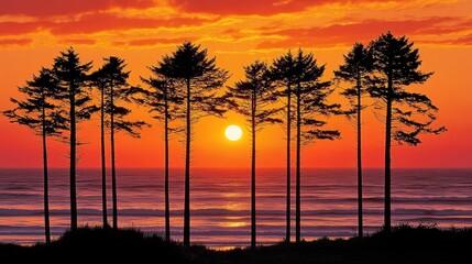 Silhouetted trees against a vibrant sunset on the beach creating a picturesque and tranquil coastal landscape scene