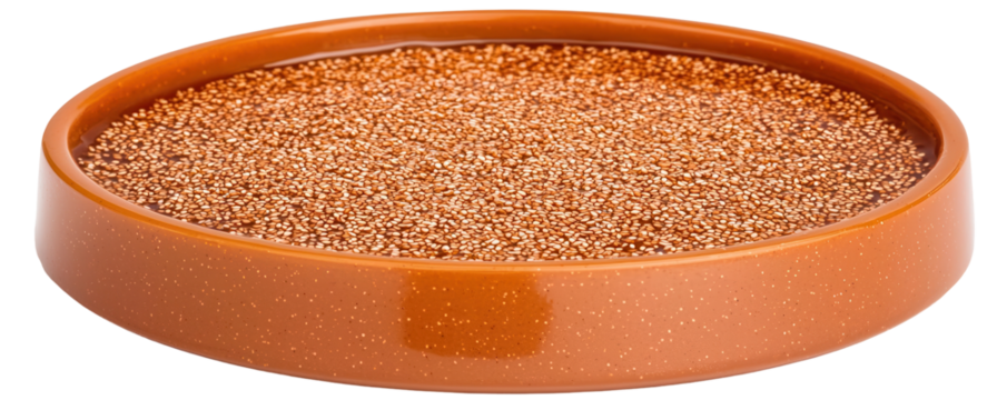 Delicious chocolate dessert in a brown dish transparent background studio shot sweet treat concept