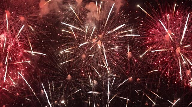 Amazing real beautiful colorful fireworks background on celebration night event for happy new year party, Abstract Multi color golden firework in the night sky