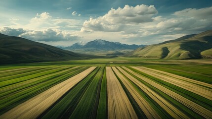 Obraz premium Expansive fertile agricultural landscape showcasing vibrant fields ready for crop sowing and growth under a dramatic sky.