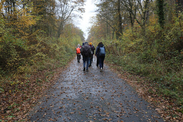 Groupe de randonneurs dans une forêt en automne