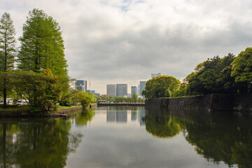 The grounds of the Imperial Palace East Gardens in Tokyo, Japan