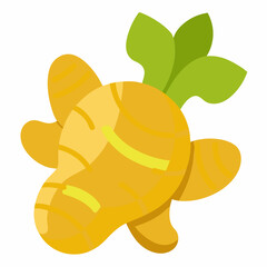 ginger root and leaf on a white background