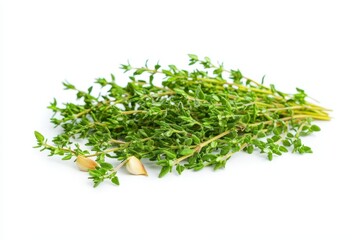 Fresh thyme and garlic cloves ready for culinary use in cooking or garnishing dishes in a kitchen setting
