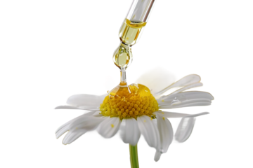 Natural Chamomile Essential Oil with Dropper Isolated on Transparent Background