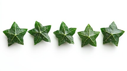 Green star leaves casting shadows on white background for creative display