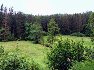 Der Fluss Irsen in Landschaft mit Wald und Wiese am Rande des Premiumwanderweg Irsenpfad Dahnen im Naturwanderpark delux in der Südeifel im deutschen Bundesland Rheinland-Pfalz. 