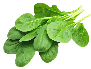 a bunch of green leaves