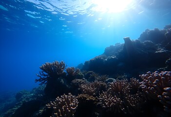 Fototapeta premium Serene Underwater Scene with Coral Reefs and Sunlight Filtering Through