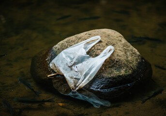 Naklejka premium Environmental impact of plastic pollution in natural waterways