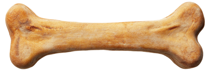 Dog bone-shaped dog treat in a light color