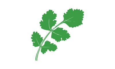 Naklejka premium Coriander Plant Illustration on White Background
