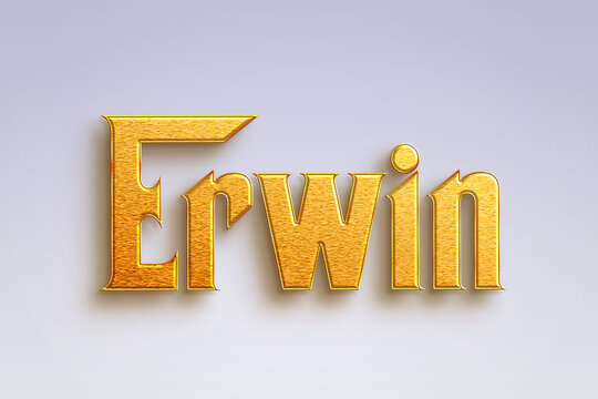 รูปภาพErwin – เลือกดูภาพถ่ายสต็อก เวกเตอร์ และวิดีโอ291 | Adobe Stock