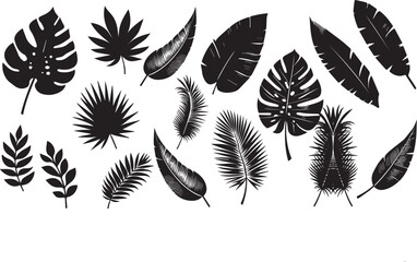 tropical leaves silhouette vector