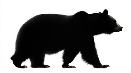 silhouette of a bear walking in profile
