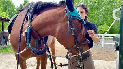 Woman adjusting horse's bridle and ear bonnet in outdoor stable