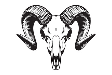 Mountain King The Skull of the Wild vector