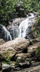 The waterfall in Sinharaja Rainforest in Sri Lanka