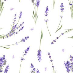 Floral seamless pattern with lavender