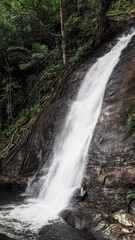 Fototapeta premium The waterfall in Sinharaja Rainforest in Sri Lanka