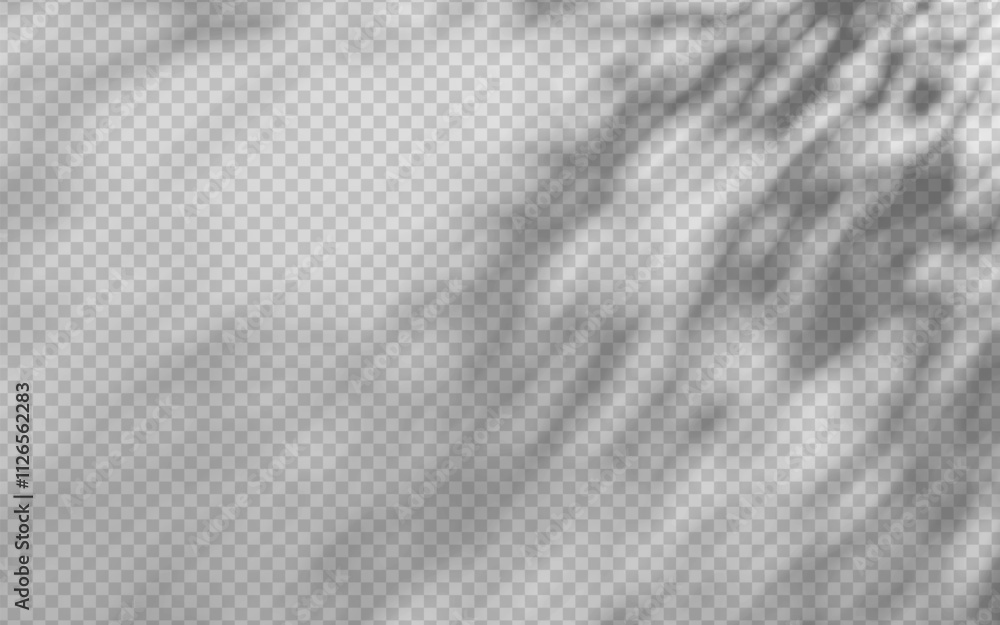 Poster abstract shadow overlay from foliage on a transparent background.