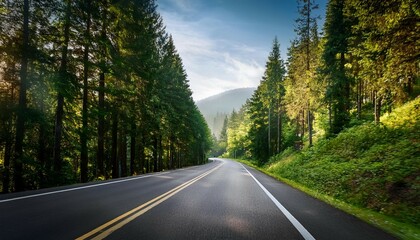 Obraz premium scenic route among the forest