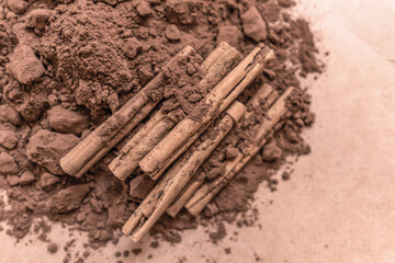 Cinnamon sticks,Cocoa powder of mocha mousse color 2025, soft brown,coffee color
