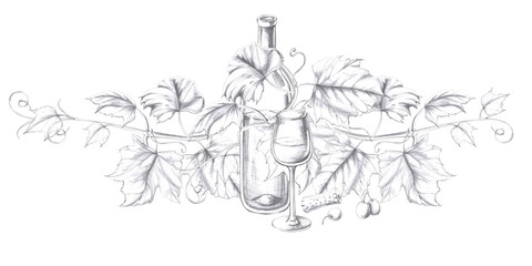 Composition with a bottle of wine entwined with grapes and a glass. Isolated pencil illustration in a realistic style for the design of postcards, bar menu, menu design, alcoholic beverages.