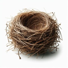 bird nest isolated on white