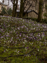 Obraz premium Glasgow, Scotland, UK
