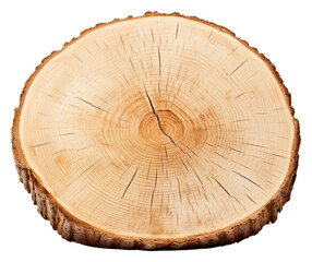 PNG Single sliced round Birch wood plant tree