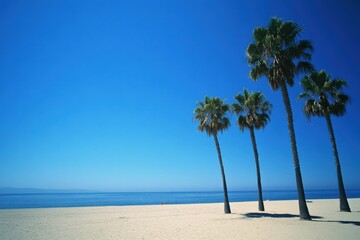 Obraz premium serene beach scene with palm trees under a clear blue sky