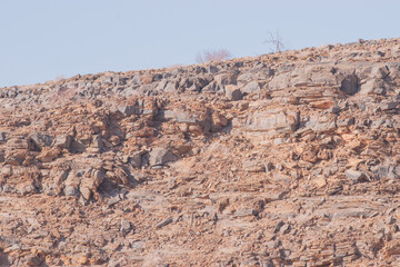 Namibia's grey stones - geological features of the desert.