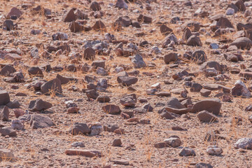 Namibia's grey stones - geological features of the desert.