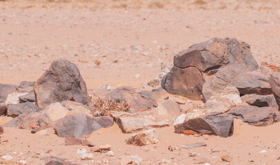 Namibia's grey stones - geological features of the desert.