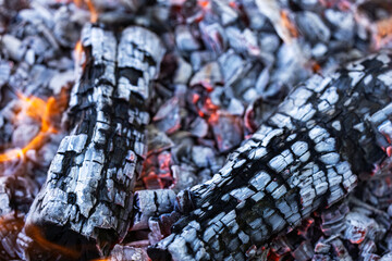 burning wood. firewood is burning. tongues of flame. orange flame. bonfire.